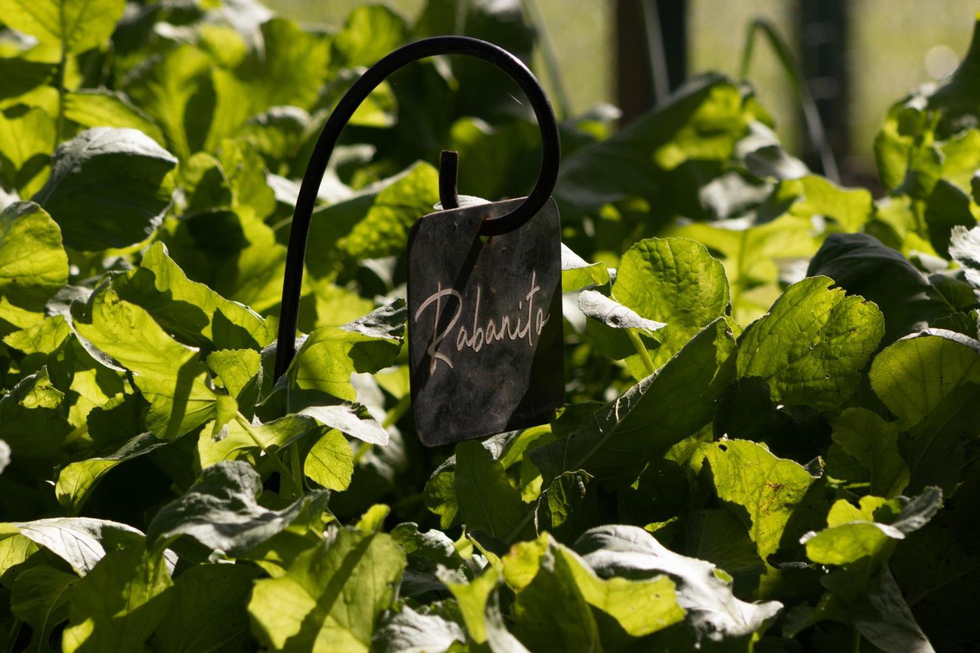 El Colibri - Relais & Chateaux Santa Catalina  Exteriér fotografie